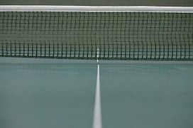 table-tennis-407491__180