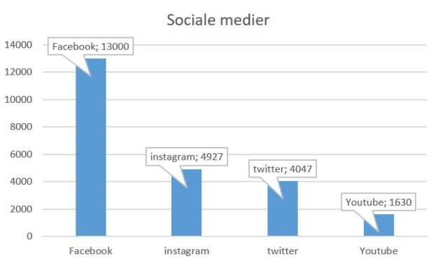 blog horsens sociale medier
